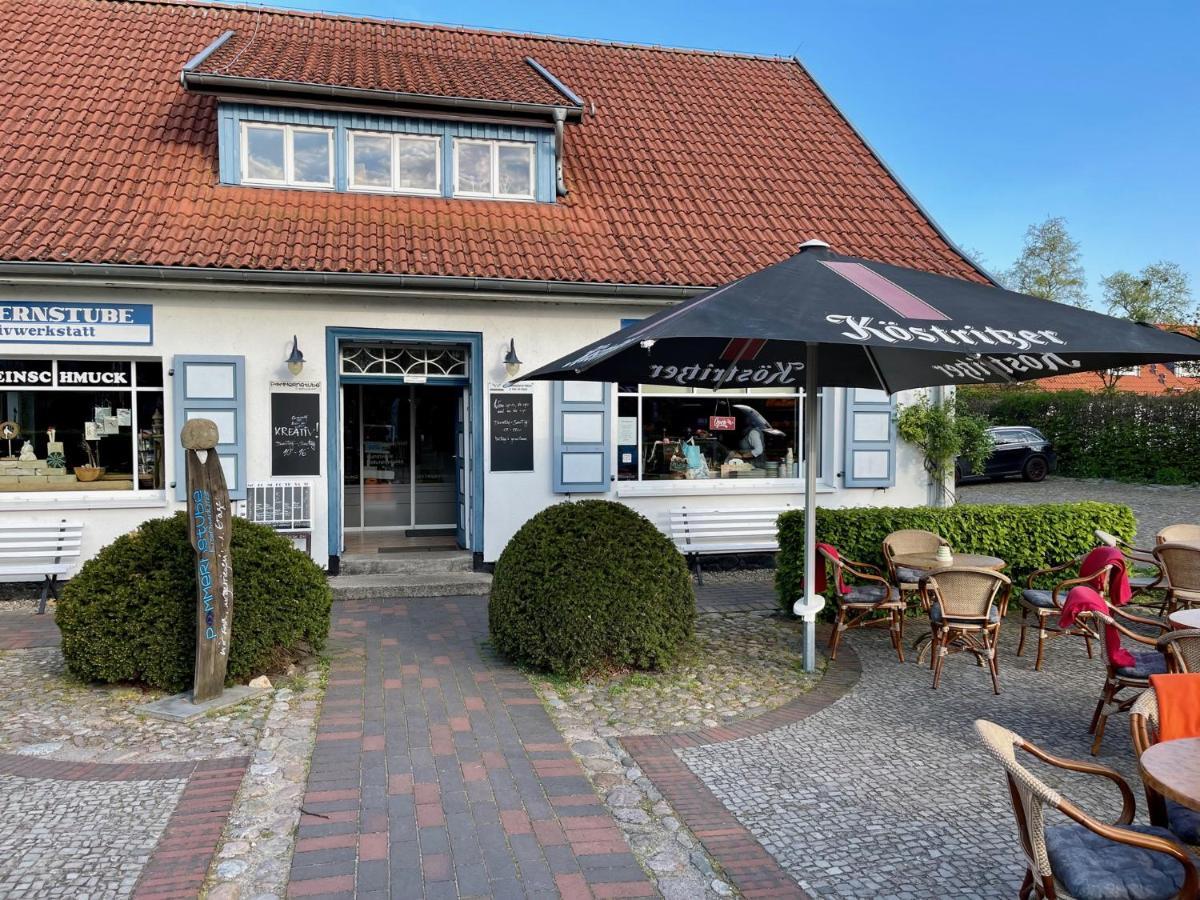 Ferienwohnungen Meerfarbig Zingst - Haustierfrei -Terrasse Mit Strandkorb Oder Balkon - E-Ladesaeule - Parkplatz - Wlan - Fahrradschuppen - Waschtrockner - Ruhig Und Zentral - Nichtraucher Dış mekan fotoğraf