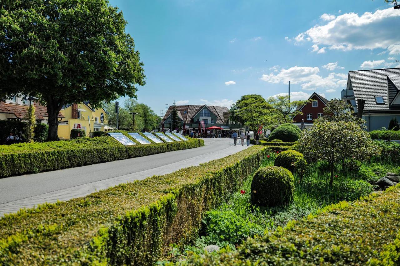 Ferienwohnungen Meerfarbig Zingst - Haustierfrei -Terrasse Mit Strandkorb Oder Balkon - E-Ladesaeule - Parkplatz - Wlan - Fahrradschuppen - Waschtrockner - Ruhig Und Zentral - Nichtraucher Dış mekan fotoğraf