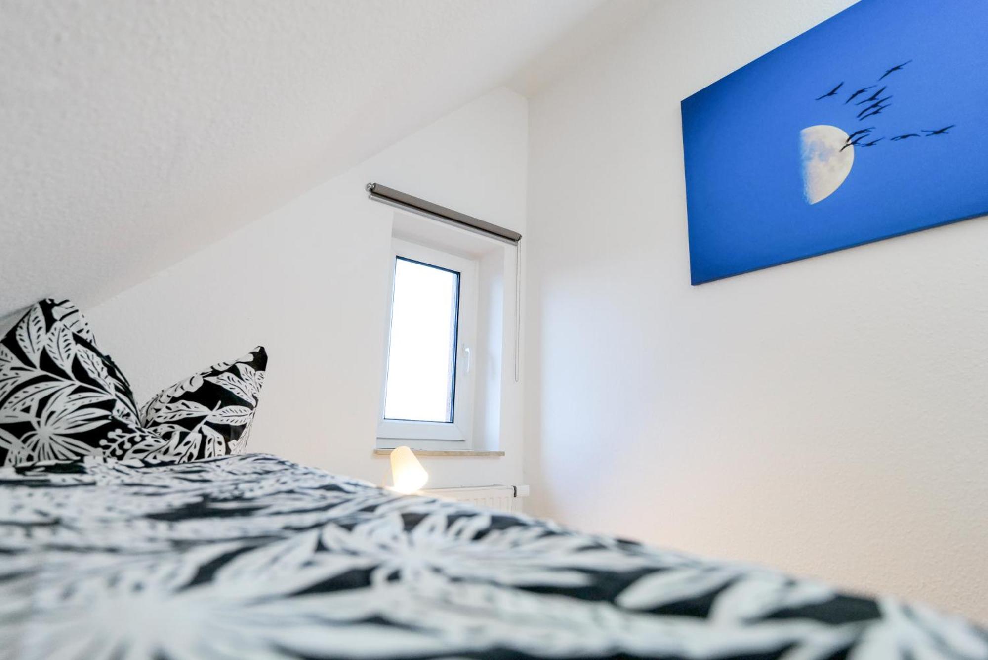 Ferienwohnungen Meerfarbig Zingst - Haustierfrei -Terrasse Mit Strandkorb Oder Balkon - E-Ladesaeule - Parkplatz - Wlan - Fahrradschuppen - Waschtrockner - Ruhig Und Zentral - Nichtraucher Dış mekan fotoğraf